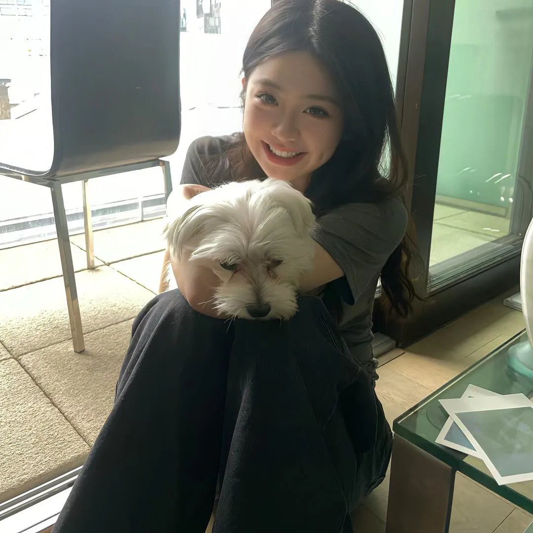 母狗 在线观看