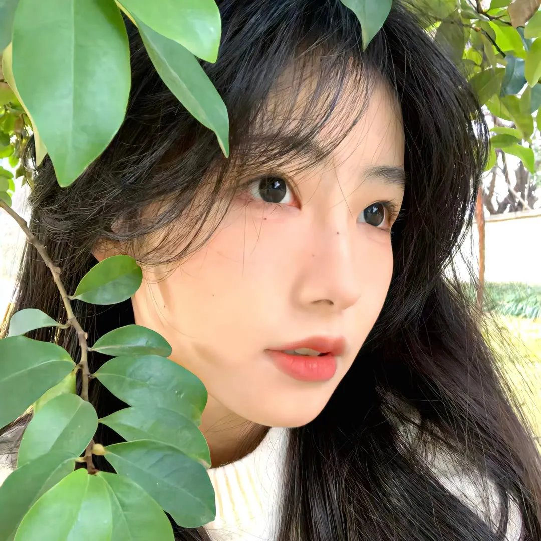 奇爱力克斯 在线观看